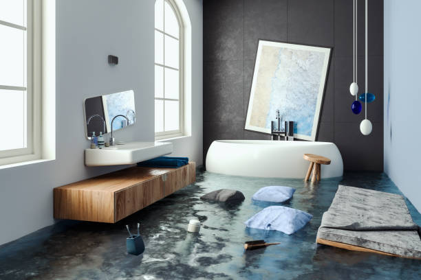 Water damage restoration mold remediation in Camanche North Shore, CA