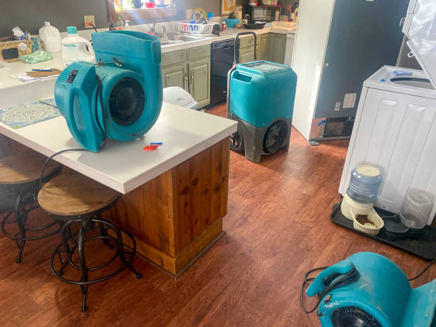 Best Water damage contractors near me  in Manche North Shore, CA