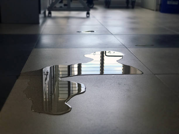 Best Professional water damage repair  in Manche North Shore, CA