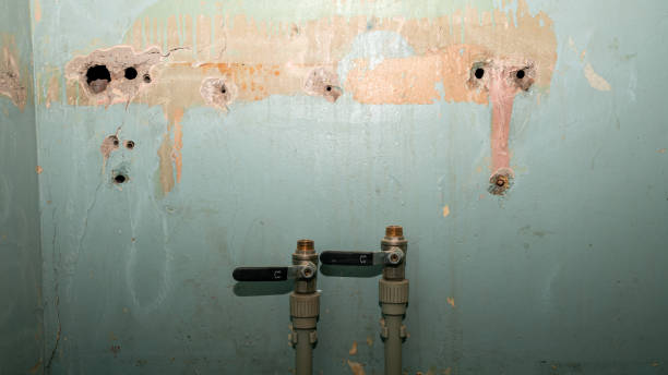 Best Water damage restoration near me  in Manche North Shore, CA