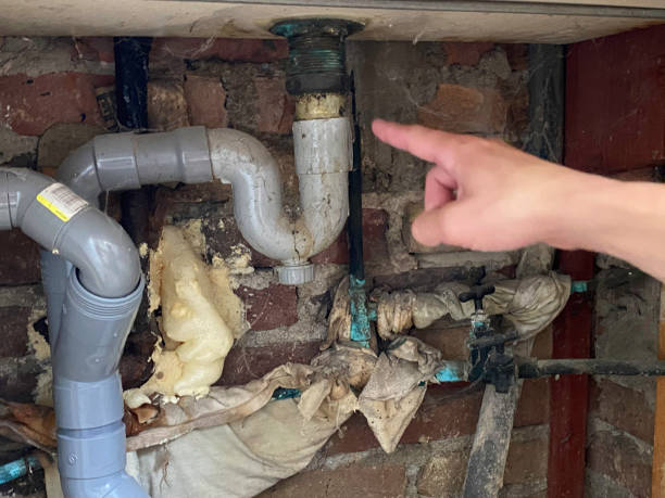 Best Water damage cleanup near me  in Manche North Shore, CA