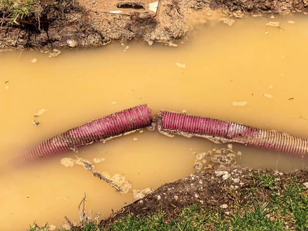 Best 24/7 water damage repair  in Manche North Shore, CA